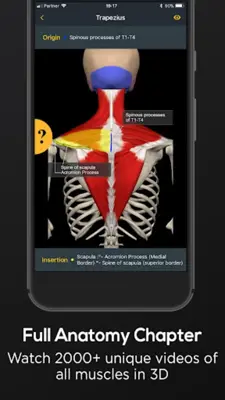 Posture by Muscle & Motion android App screenshot 9