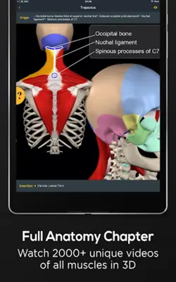 Posture by Muscle & Motion android App screenshot 1